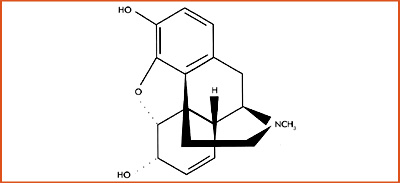 Morphine